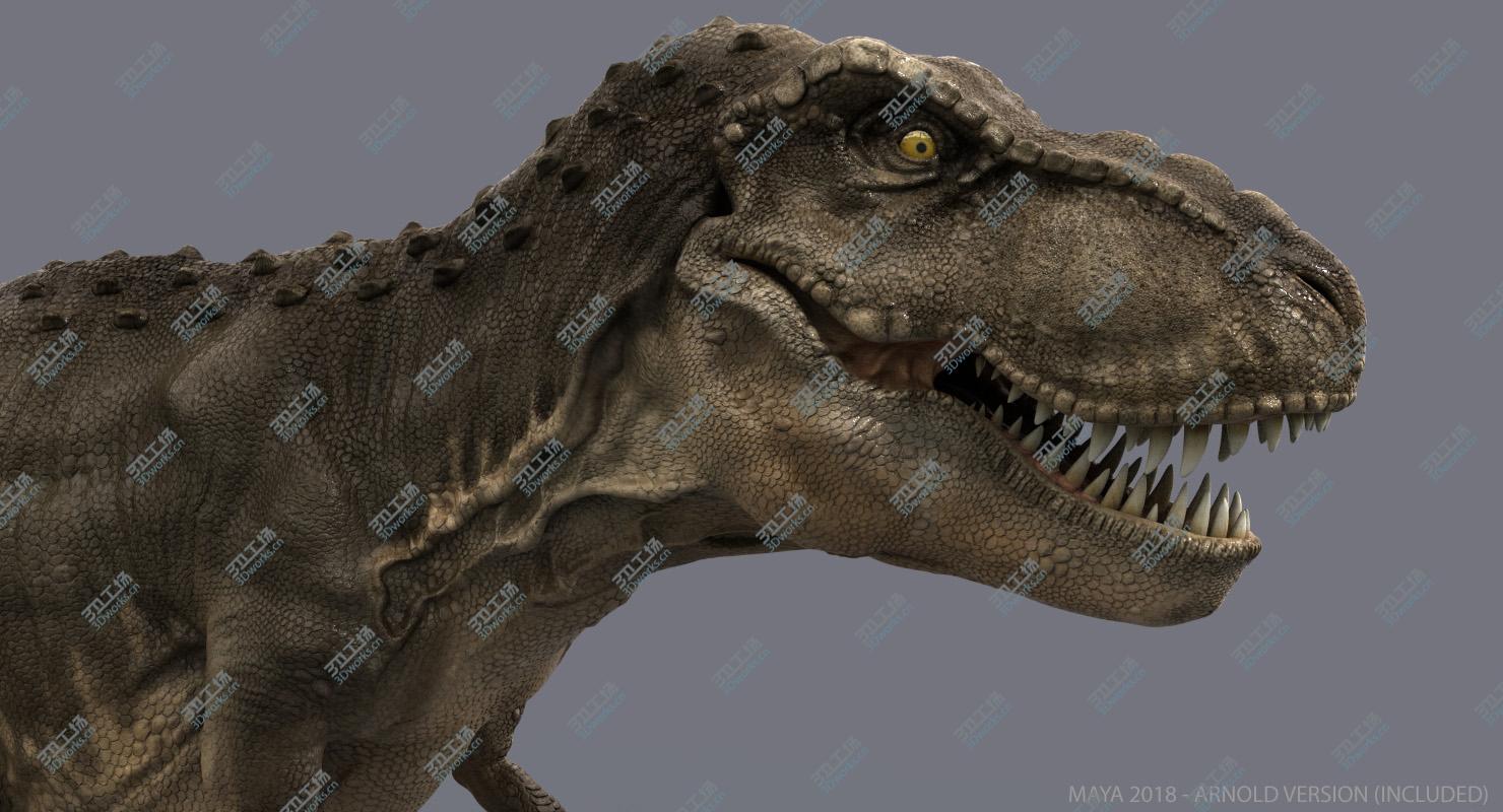 images/goods_img/202104023/Tyrannosaurus Rex (2) (Rigged)/5.jpg